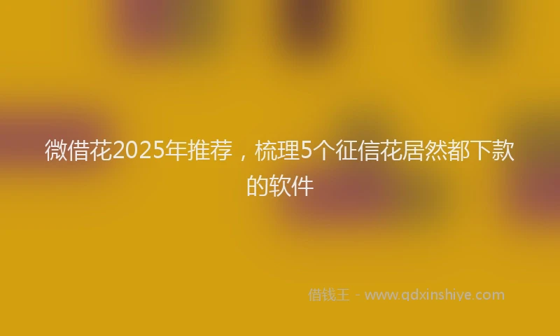 微借花2025年推荐，梳理5个征信花居然都下款的软件