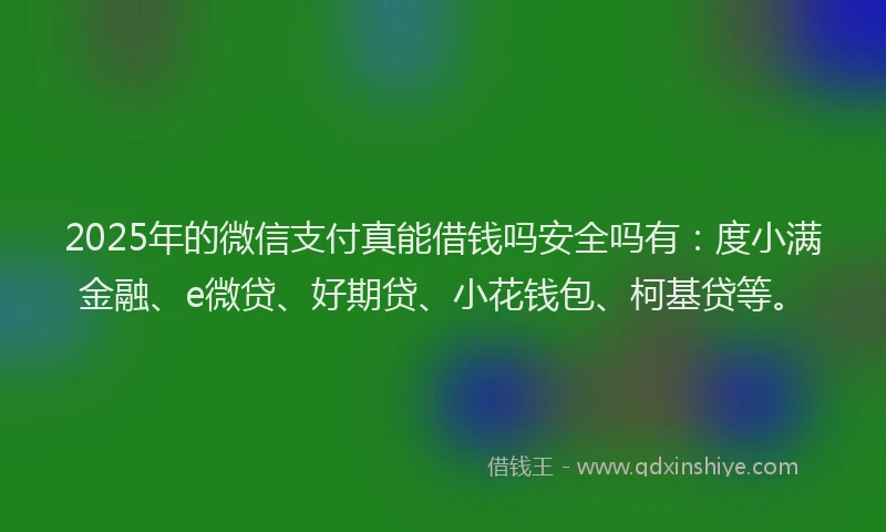 2025年的微信支付真能借钱吗安全吗有：度小满金融、e微贷、好期贷、小花钱包、柯基贷等。