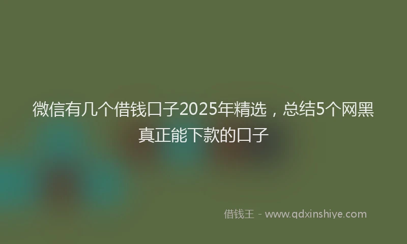 微信有几个借钱口子2025年精选，总结5个网黑真正能下款的口子