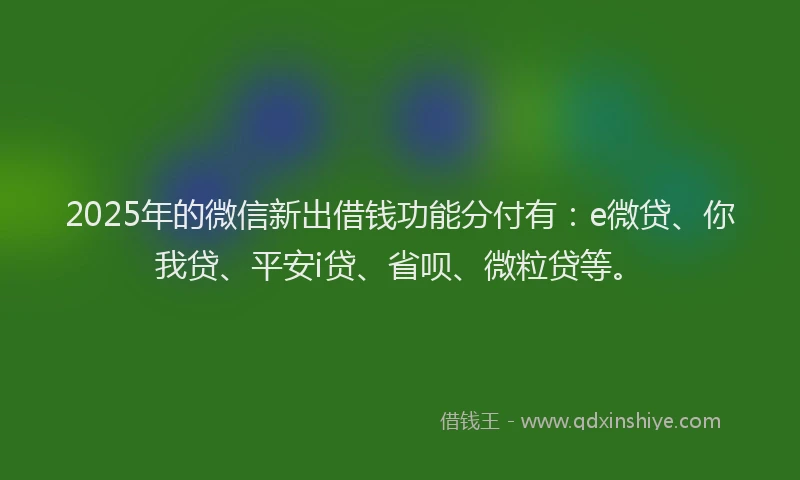 2025年的微信新出借钱功能分付有：e微贷、你我贷、平安i贷、省呗、微粒贷等。