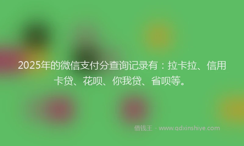 2025年的微信支付分查询记录有：拉卡拉、信用卡贷、花呗、你我贷、省呗等。