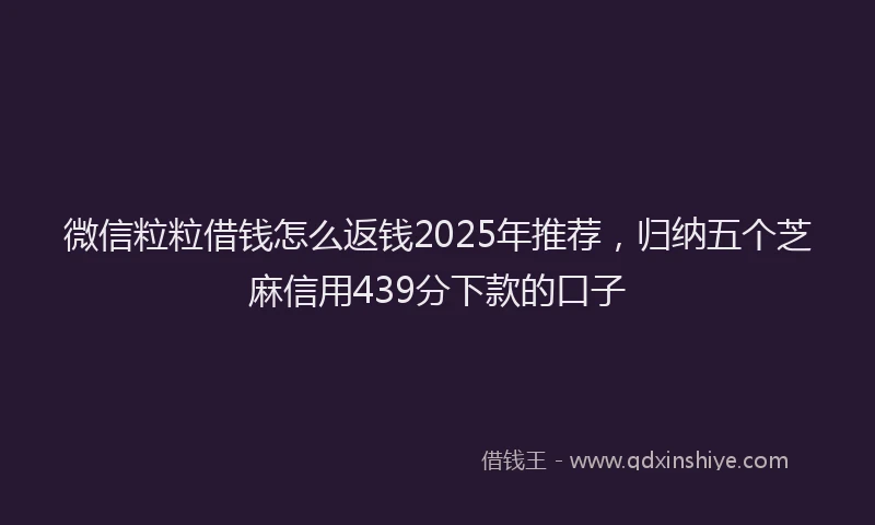 微信粒粒借钱怎么返钱2025年推荐，归纳五个芝麻信用439分下款的口子