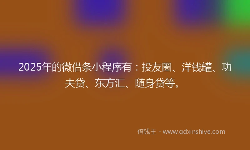 2025年的微借条小程序有：投友圈、洋钱罐、功夫贷、东方汇、随身贷等。