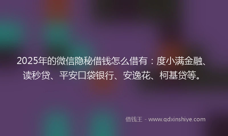 2025年的微信隐秘借钱怎么借有：度小满金融、读秒贷、平安口袋银行、安逸花、柯基贷等。