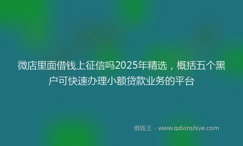 微店里面借钱上征信吗2025年精选，概括五个黑户可快速办理小额贷款业务的平台