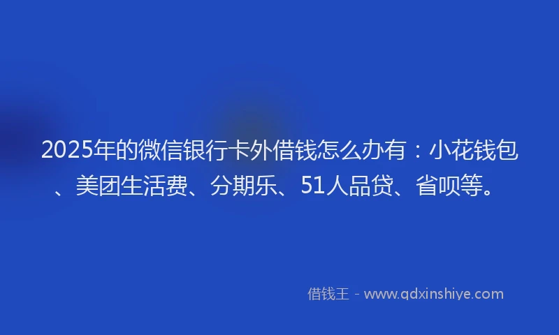2025年的微信银行卡外借钱怎么办有：小花钱包、美团生活费、分期乐、51人品贷、省呗等。