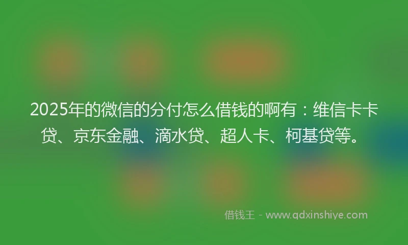 2025年的微信的分付怎么借钱的啊有：维信卡卡贷、京东金融、滴水贷、超人卡、柯基贷等。