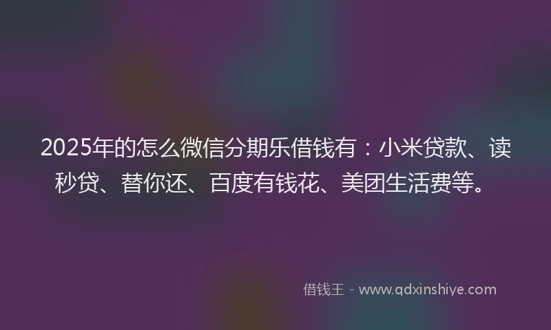 2025年的怎么微信分期乐借钱有：小米贷款、读秒贷、替你还、百度有钱花、美团生活费等。