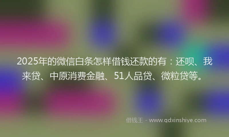 2025年的微信白条怎样借钱还款的有：还呗、我来贷、中原消费金融、51人品贷、微粒贷等。