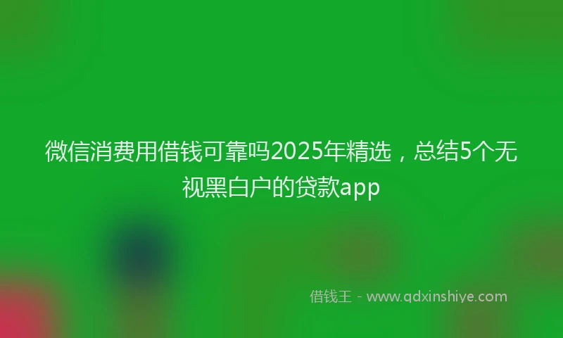 微信消费用借钱可靠吗2025年精选，总结5个无视黑白户的贷款app