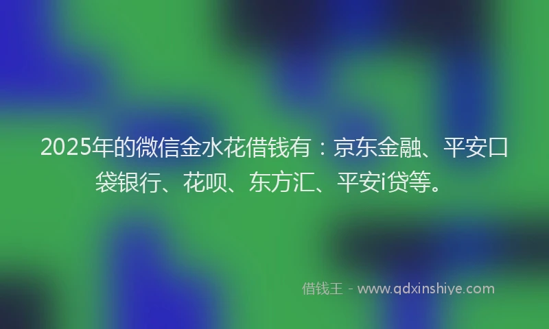 2025年的微信金水花借钱有：京东金融、平安口袋银行、花呗、东方汇、平安i贷等。
