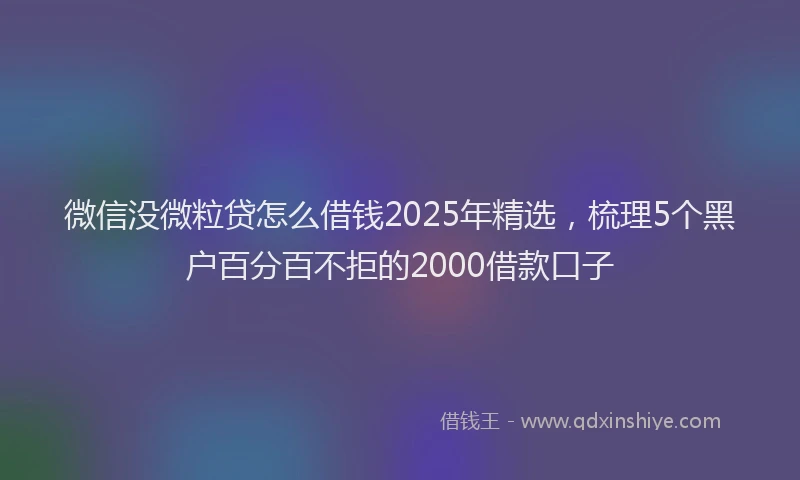 微信没微粒贷怎么借钱2025年精选，梳理5个黑户百分百不拒的2000借款口子