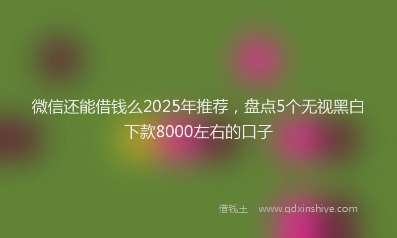 微信还能借钱么2025年推荐，盘点5个无视黑白下款8000左右的口子