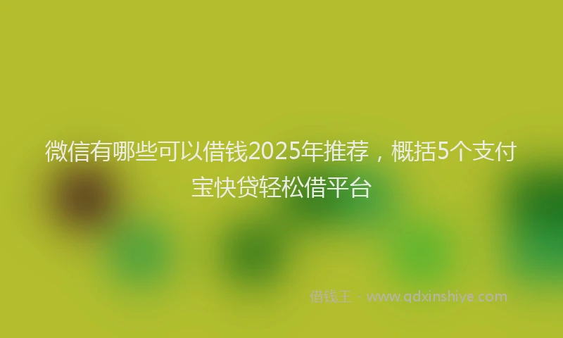 微信有哪些可以借钱2025年推荐，概括5个支付宝快贷轻松借平台