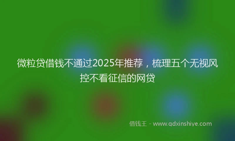 微粒贷借钱不通过2025年推荐，梳理五个无视风控不看征信的网贷