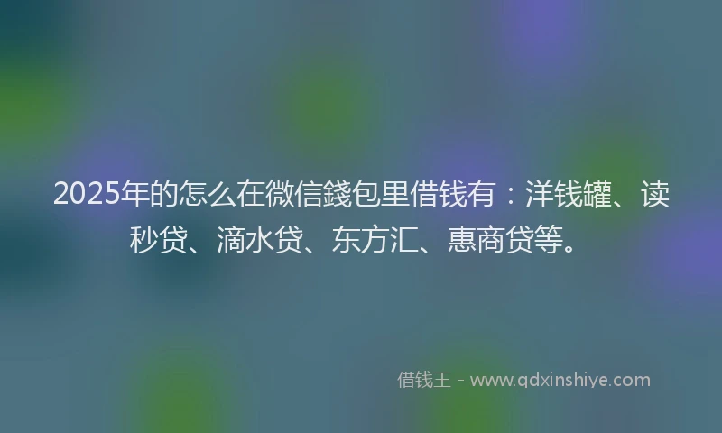 2025年的怎么在微信錢包里借钱有：洋钱罐、读秒贷、滴水贷、东方汇、惠商贷等。
