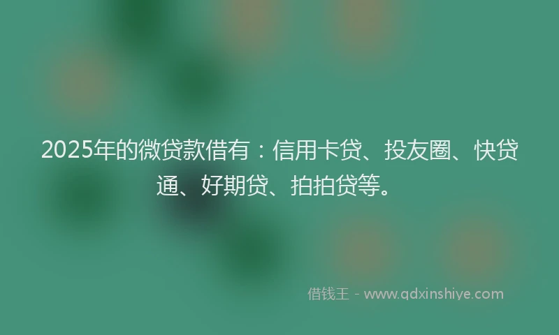 2025年的微贷款借有：信用卡贷、投友圈、快贷通、好期贷、拍拍贷等。