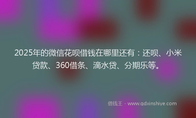 2025年的微信花呗借钱在哪里还有：还呗、小米贷款、360借条、滴水贷、分期乐等。