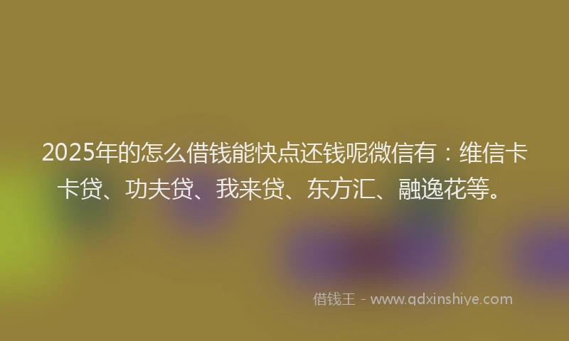 2025年的怎么借钱能快点还钱呢微信有：维信卡卡贷、功夫贷、我来贷、东方汇、融逸花等。