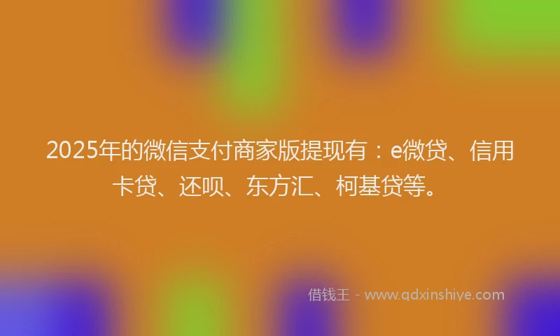 2025年的微信支付商家版提现有：e微贷、信用卡贷、还呗、东方汇、柯基贷等。