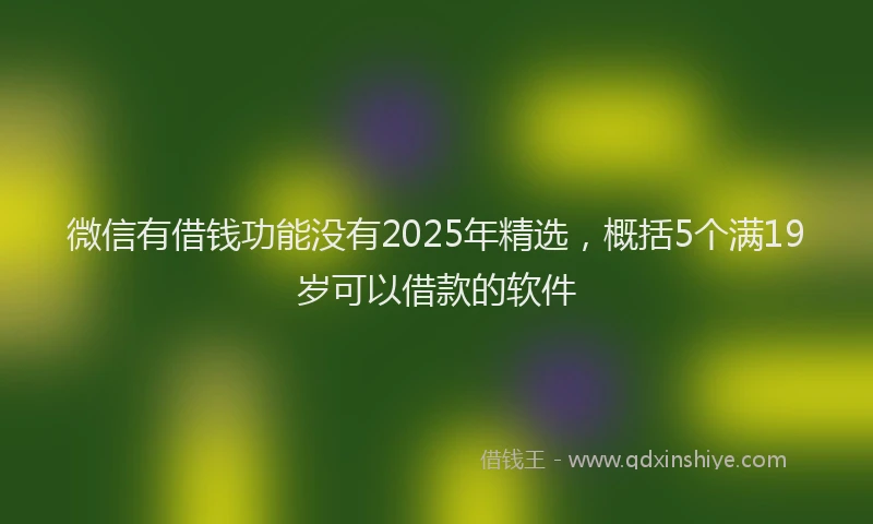微信有借钱功能没有2025年精选，概括5个满19岁可以借款的软件
