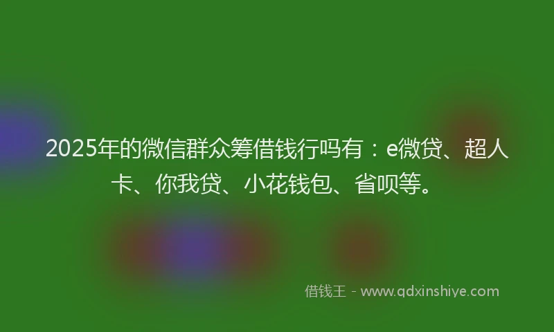 2025年的微信群众筹借钱行吗有：e微贷、超人卡、你我贷、小花钱包、省呗等。