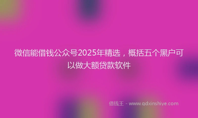 微信能借钱公众号2025年精选，概括五个黑户可以做大额贷款软件