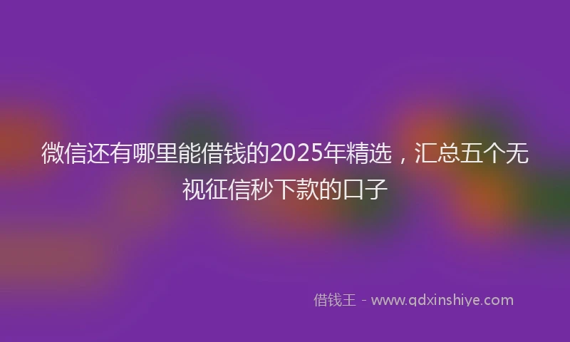 微信还有哪里能借钱的2025年精选，汇总五个无视征信秒下款的口子