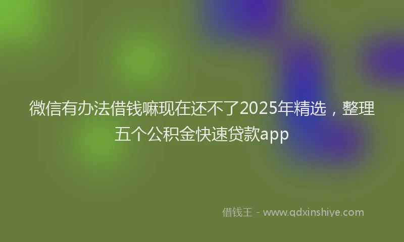 微信有办法借钱嘛现在还不了2025年精选，整理五个公积金快速贷款app
