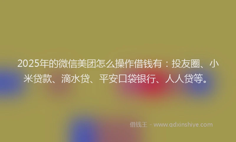 2025年的微信美团怎么操作借钱有：投友圈、小米贷款、滴水贷、平安口袋银行、人人贷等。
