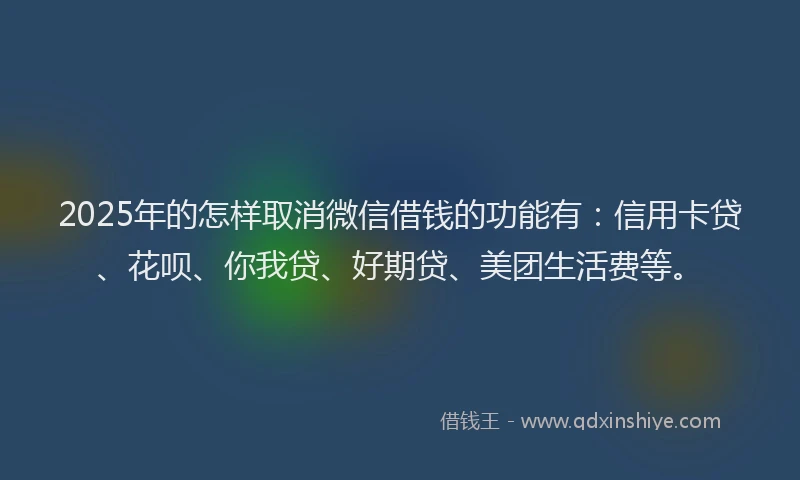 2025年的怎样取消微信借钱的功能有：信用卡贷、花呗、你我贷、好期贷、美团生活费等。