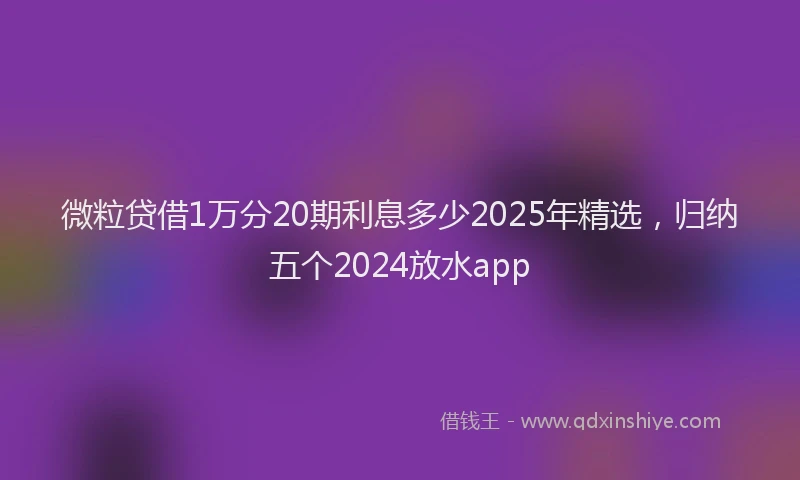 微粒贷借1万分20期利息多少2025年精选，归纳五个2024放水app