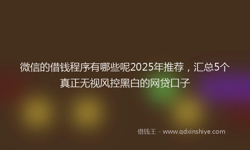 微信的借钱程序有哪些呢2025年推荐，汇总5个真正无视风控黑白的网贷口子