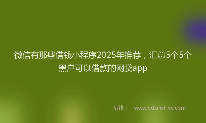 微信有那些借钱小程序2025年推荐，汇总5个5个黑户可以借款的网贷app
