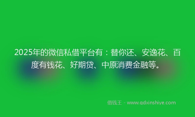 2025年的微信私借平台有：替你还、安逸花、百度有钱花、好期贷、中原消费金融等。