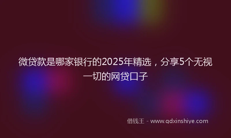 微贷款是哪家银行的2025年精选，分享5个无视一切的网贷口子