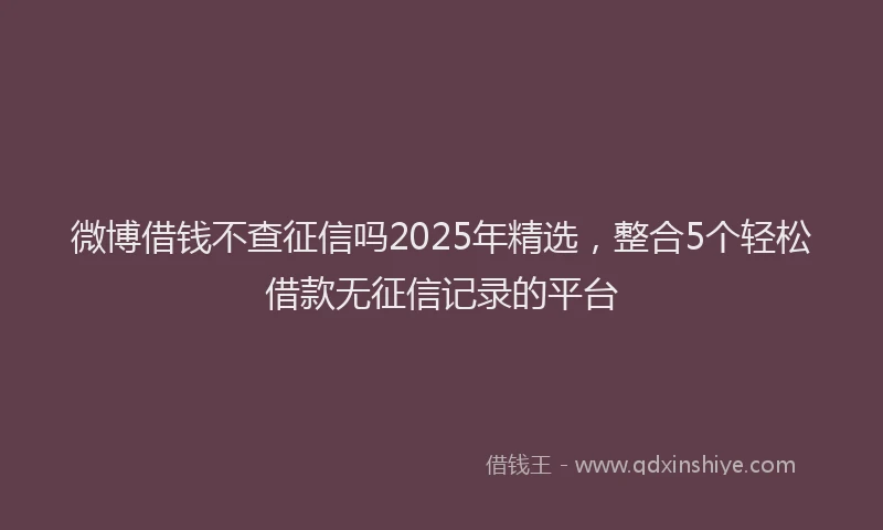 微博借钱不查征信吗2025年精选，整合5个轻松借款无征信记录的平台