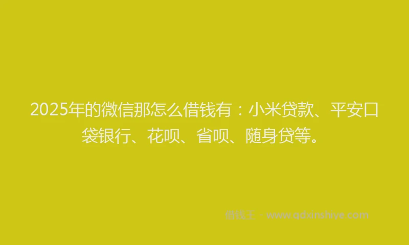 2025年的微信那怎么借钱有：小米贷款、平安口袋银行、花呗、省呗、随身贷等。