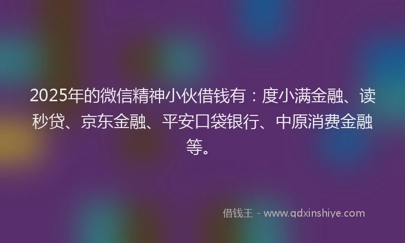 2025年的微信精神小伙借钱有：度小满金融、读秒贷、京东金融、平安口袋银行、中原消费金融等。