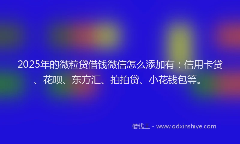 2025年的微粒贷借钱微信怎么添加有：信用卡贷、花呗、东方汇、拍拍贷、小花钱包等。