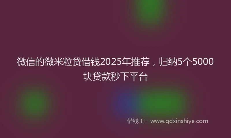 微信的微米粒贷借钱2025年推荐，归纳5个5000块贷款秒下平台