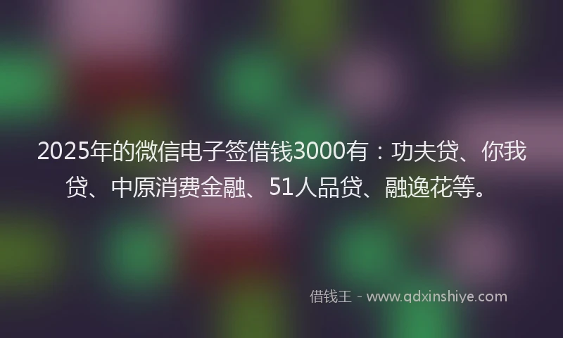 2025年的微信电子签借钱3000有：功夫贷、你我贷、中原消费金融、51人品贷、融逸花等。