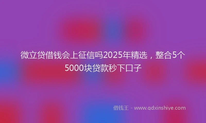 微立贷借钱会上征信吗2025年精选，整合5个5000块贷款秒下口子