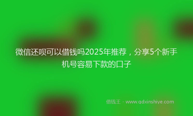 微信还呗可以借钱吗2025年推荐，分享5个新手机号容易下款的口子