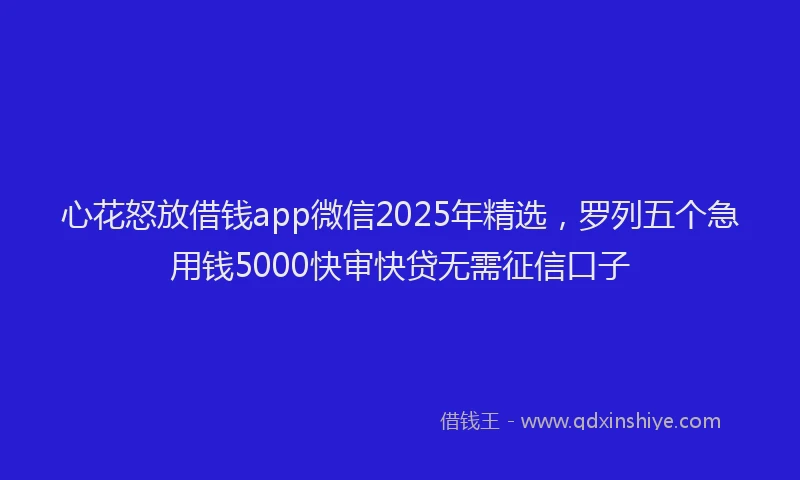 心花怒放借钱app微信2025年精选，罗列五个急用钱5000快审快贷无需征信口子