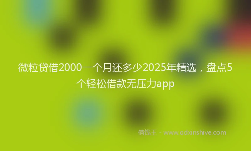 微粒贷借2000一个月还多少2025年精选，盘点5个轻松借款无压力app