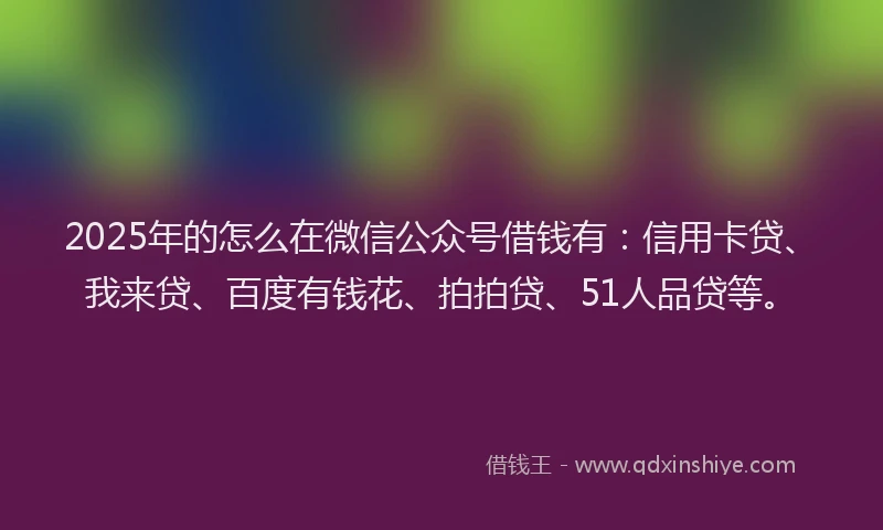 2025年的怎么在微信公众号借钱有：信用卡贷、我来贷、百度有钱花、拍拍贷、51人品贷等。