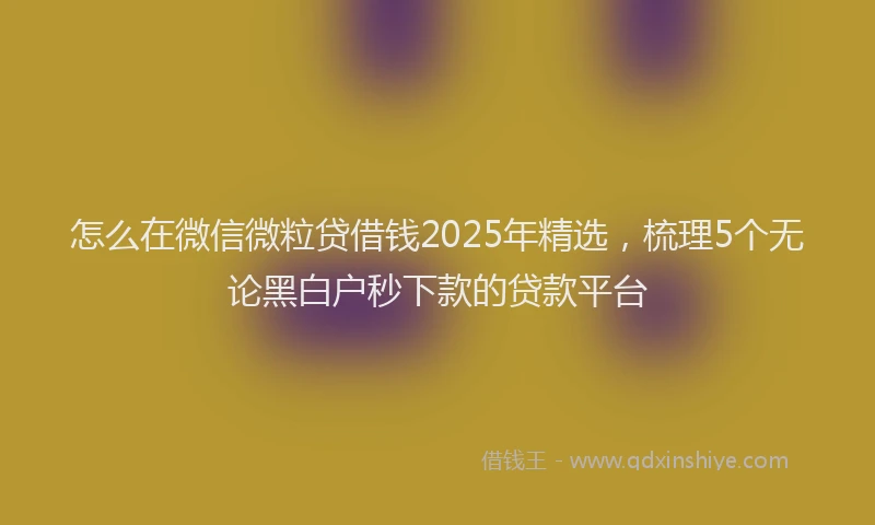 怎么在微信微粒贷借钱2025年精选，梳理5个无论黑白户秒下款的贷款平台