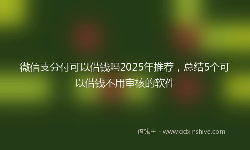 微信支分付可以借钱吗2025年推荐，总结5个可以借钱不用审核的软件