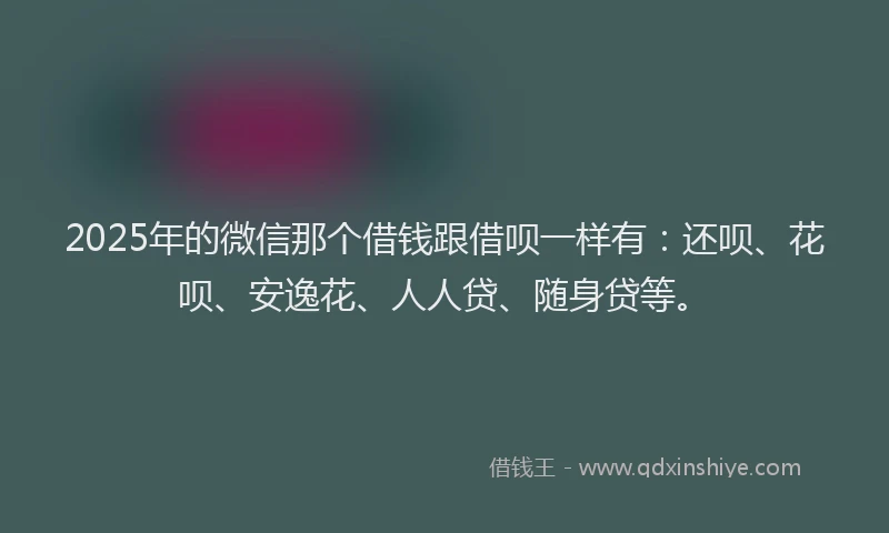 2025年的微信那个借钱跟借呗一样有：还呗、花呗、安逸花、人人贷、随身贷等。